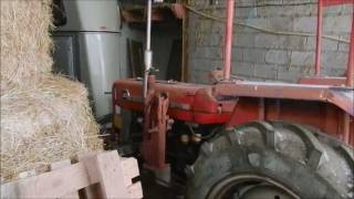 Diesel engine cold start Massey Ferguson MF 135 [upl. by Adnowat495]