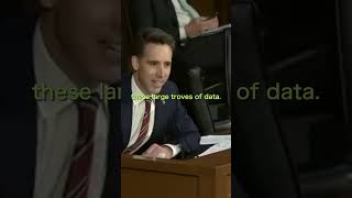 Sen Hawley Is SHOCKED That These Employees Were Allowed To Have The Power To Dox ANYONE They Wanted [upl. by Hallvard]