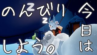 視聴者さんにコーデ決めてもらう＆デイリーキャンマラ雑談配信【Sky星を紡ぐ子どもたち】 [upl. by Epperson]