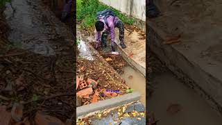 300M clogged drain cleaning much rubbish viral drainage shorts viralvideo shortvideo video [upl. by Ensoll799]