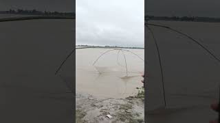 Amazing Canting Fish villages River whit net subscribe [upl. by Wehttan]