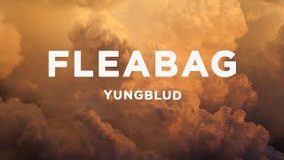 YUNGBLUD  fleabag Lyrics [upl. by Onid684]