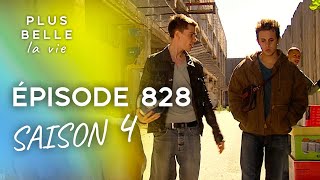 PBLV  Saison 4 Épisode 828  Mélanie a un nouvel admirateur [upl. by Locin]