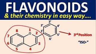 Flavonoids and their chemistry in easy way [upl. by Novanod]