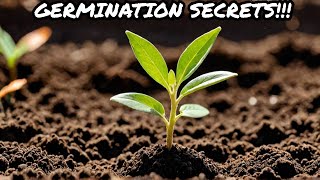 7 Tips for Successful Seed Germination [upl. by Trisa]