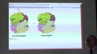 Kevin Aherns BB 450550 Classroom Lecture 2 for June 23  Protein CharacterizationHemoglobin [upl. by Ecnaralc949]