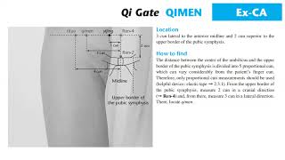 QIMEN QI GATE PIGEN FULLNESS ROOT [upl. by Rudiger383]