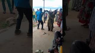 Oromo shagoye oromomusic shortvideo ethiopiancultural oromoculture dance habesha [upl. by Dennard]