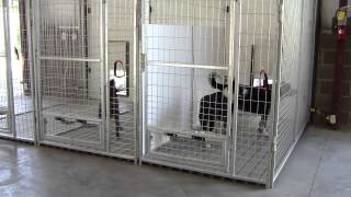 K9 Kennel Store Inside Outside Dog Kennel System [upl. by Ecirtal978]