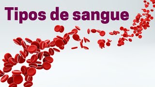 Tipos sanguíneos e compatibilidade sanguínea  Fisiologia Humana [upl. by Zaragoza]