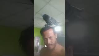 Kabootar🌹 pigeon 🐦 short video  kabootar [upl. by Frazer]