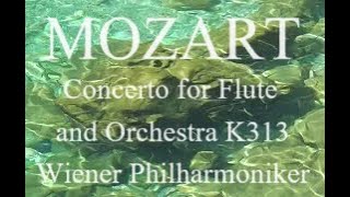 ♪ MOZART  Concerto for Flute and Orchestra K313 [upl. by Bourn]