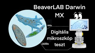 Beaverlab Darwin MX mikroszkóp teszt [upl. by Aldrich932]