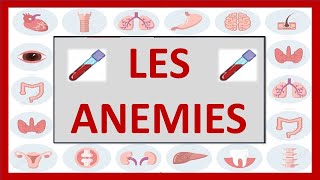 🔴 hématologie  LES ANEMIES feriprives megaloblastiques  les thalassemies [upl. by Jessika]