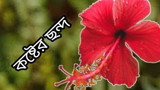 কষ্টের ছন্দ [upl. by Nagem945]