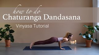 Vinyasa Chaturanga Dandasana for Beginners  Four Limbed Staff Yoga Pose [upl. by Sherburne]