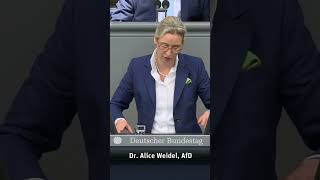 quotSie leisten sich eine Außenministerin die in ihrem Dilettantismus quot baerbock [upl. by Htial]