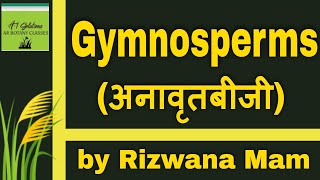 Gymnosperms general characters in hindi by Rizwana mam  AR Botany Classes [upl. by Yennej333]