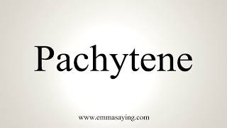 How To Pronounce Pachytene [upl. by Jenni]