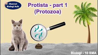 Protista part 1 Protozoa  Biologi kelas 10 SMA [upl. by Ottie]