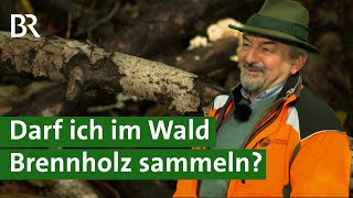 Holz klauben im Wald  Was ist erlaubt  Brennholz  Unser Land  BR [upl. by Eloisa]