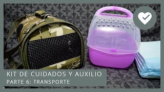 ➕ Parte 66 Transporte  KIT DE CUIDADOS Y PRIMEROS AUXILIOS PARA COBAYAS 💊🐹 [upl. by Eniamraj338]