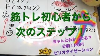 筋トレ初心者を脱出トレーニングメニューを組むには？知っておきたい！分割法・POF法・ピリオダイゼーション！効率よくボディメイク [upl. by Winfrid]