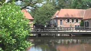 KOETSENKEERLS 2011mp4 [upl. by Eneloc]