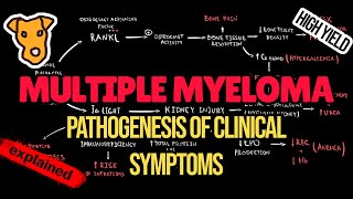 MULTIPLE MYELOMA Pathogenesis of Clinical Symptoms CRAB criteria Amyloidosis Immunodeficiency [upl. by Dagley]