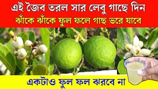 এই জৈব তরল সার লেবু গাছে দিন ঝাঁকে ঝাঁকে ফুল ফলে গাছ ভরে যাবেlemon plant care and fertilizer [upl. by Enitsirhc]