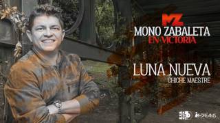 Mono Zabaleta  Luna Nueva Cover Audio [upl. by Adnert]