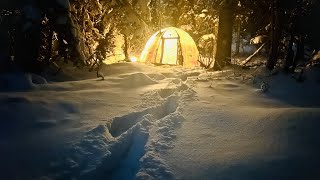 30 FREEZING COLD SOLO WINTER CAMPING [upl. by Townshend]