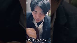 【ワインレッドの心安全地帯 Cover by Sho】ギター弾き語りワインレッドの心安全地帯玉置浩二井上陽水歌ってみたギター弾き語り [upl. by Liborio]