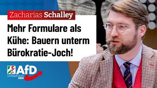 Bauern unterm BürokratieJoch – Zacharias Schalley AfD [upl. by Alphonse]