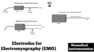 Electrodes for Electromyogram EMG  Biomedical Instrumentation and Measurement [upl. by Genia]