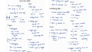 TESTICULAR TORSION NOTES ONE PAGE NOTES  TESTIS  SURGERY  4TH PROFF  MBBS [upl. by Annoled]