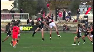 BTV Gumbleton VFL highlights [upl. by Shipley]