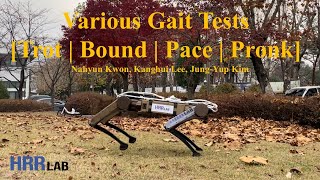 Various Gait Tests Trot  Bound  Pace  Pronk [upl. by Yebba]