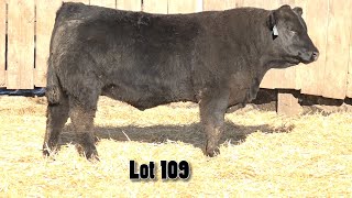 MacDonald Ranches Performance Power 2024 Sale Video [upl. by Halsted298]