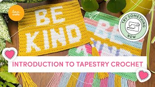 Introduction to tapestry crochet [upl. by Lerad611]