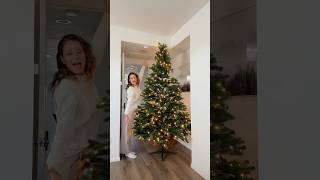 Realistic and affordable Christmas tree 🎄christmas tree christmastree holidays dogshorts dog [upl. by Aznecniv]