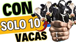 💰 El mejor NEGOCIO es la LECHERIA SEMIESTABULADA empiece su riqueza con SOLO 10 VACAS 🤩 [upl. by Jovitah923]