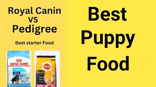 Royal Canin Vs Pedigree  Kon sa food hume apne puppy ko dena chahiye  Best Starter Food  doglove [upl. by Golter]