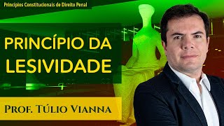 Princípio da Lesividade ou Princípio da Ofensividade  Curso de Direito Penal  Prof Túlio Vianna [upl. by Yartnod952]