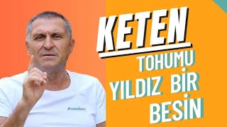 KETEN TOHUMU FAYDALARI KETEN TOHUMU NASIL KULLANILIR TÜKETİLİR ÖZELLİKLERİ [upl. by Alexa682]