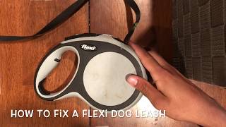 How to Fix a Flexi Leash without screws [upl. by Arrotal844]