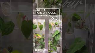 6 IKEA Greenhouse Cabinet TOUR ☺️ 💚 [upl. by Llechtim]