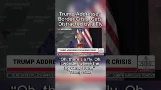 Trump Addresses Border Crisis Gets Distracted by a Fly quotWe Cant Take It Any Longerquot Trump [upl. by Ennaillek]