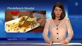 tagesschau 2000 Uhr 15022013 [upl. by Ahsakal]