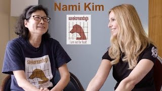 NAMI KIM  THE LADY WHO SAVES MEAT TRADE DOGS IN KOREA [upl. by Ttergram55]